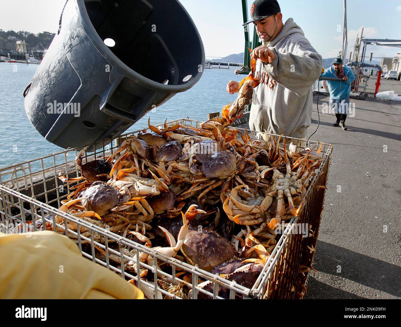 Dock workers handled some of the first crabs off the boats. The first