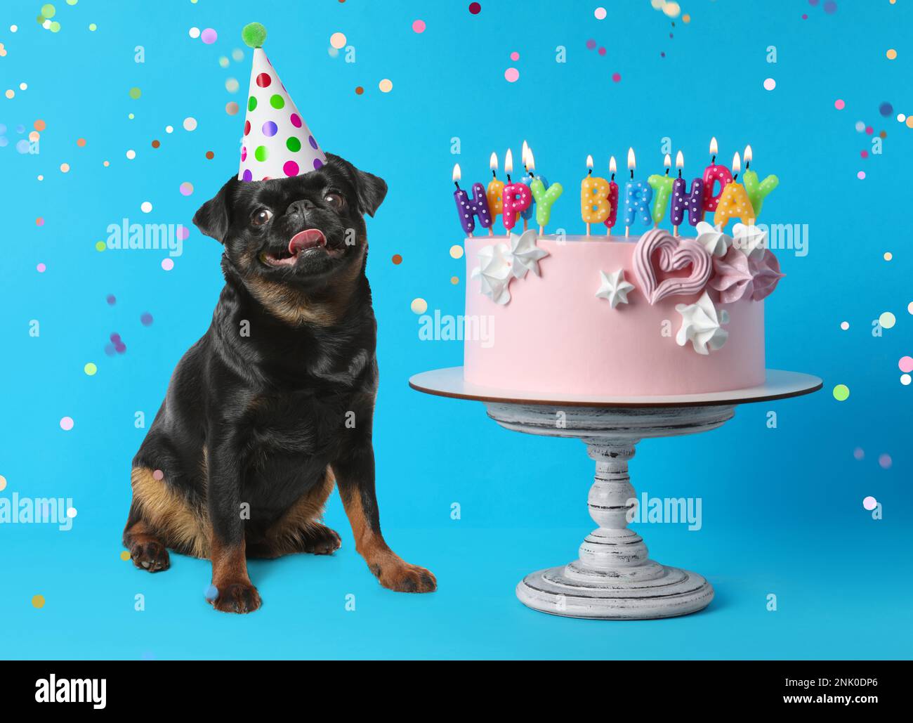 Cute dog with party hat and delicious birthday cake on blue background