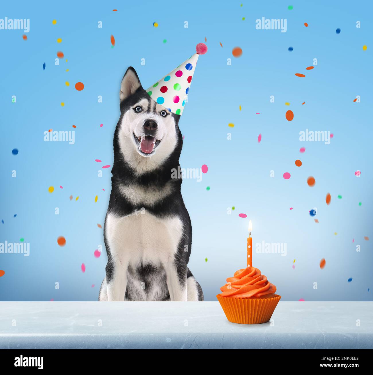 Cute dog with party hat and delicious birthday cupcake on light blue ...