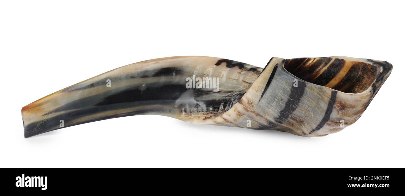 Shofar isolated on white. Rosh Hashanah holiday symbol Stock Photo Alamy