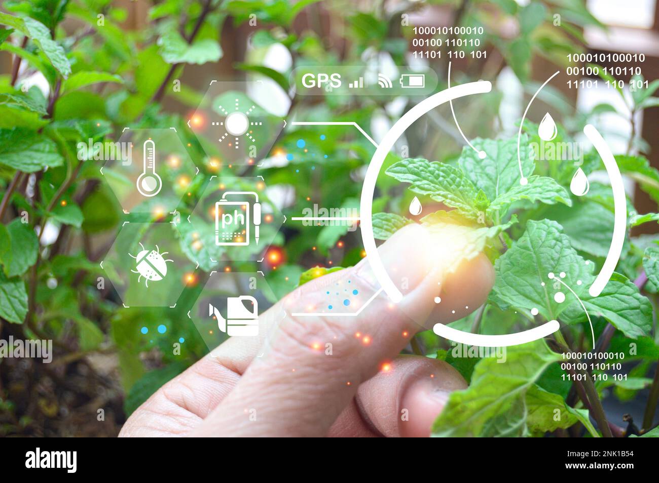 The concept of new farming or smart farming, agricultural technology Stock Photo