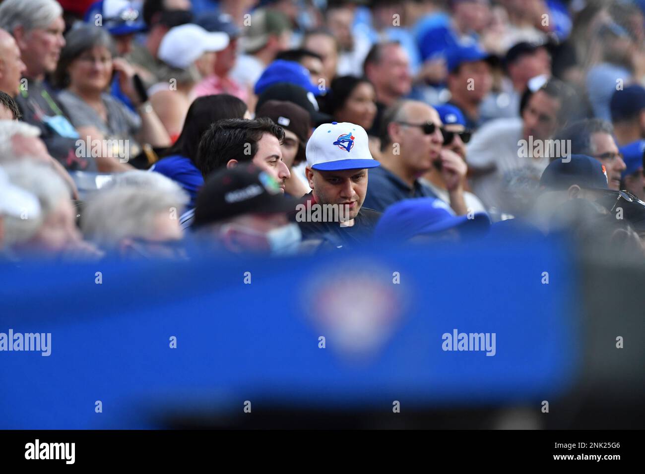 Toronto, Canada, May 31, 2022, Chicago White Sox designated hitter Andrew  Vaughn (25) watches his solo home run off Toronto Blue Jays starting  pitcher Kevin Gausman during first inning American League baseball