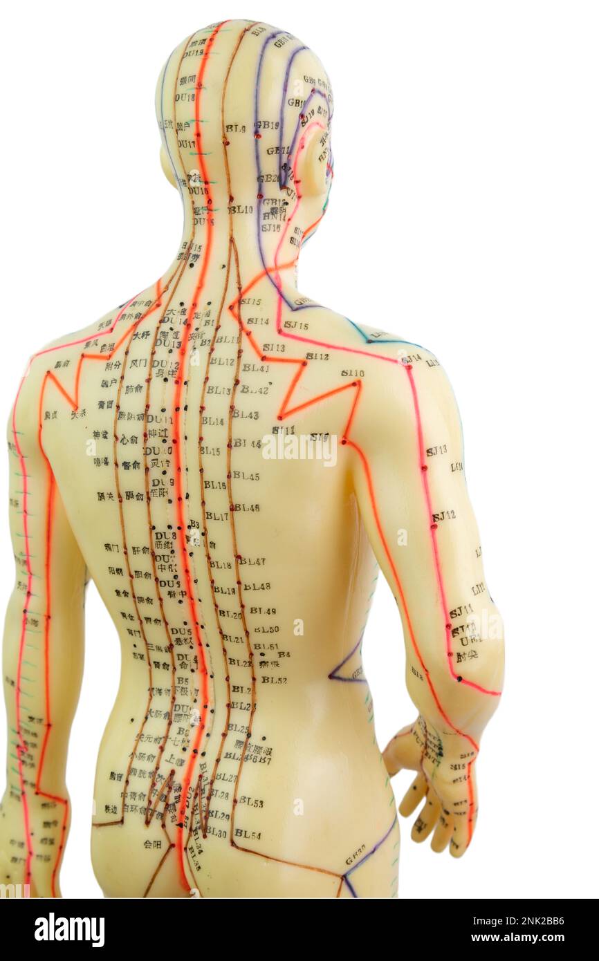 Meridians back hi-res stock photography and images - Alamy