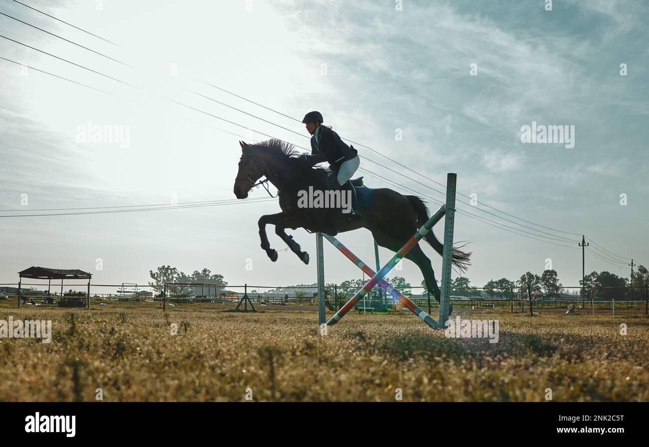 Woman on horse, jumping and equestrian sports practice for competition