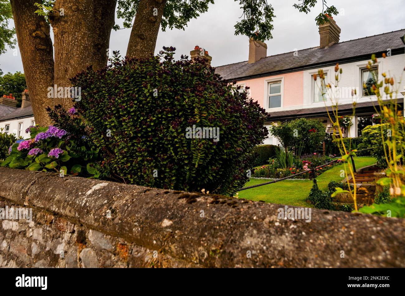 Pastel terrace houses overlooking the port and quay in the seaside town