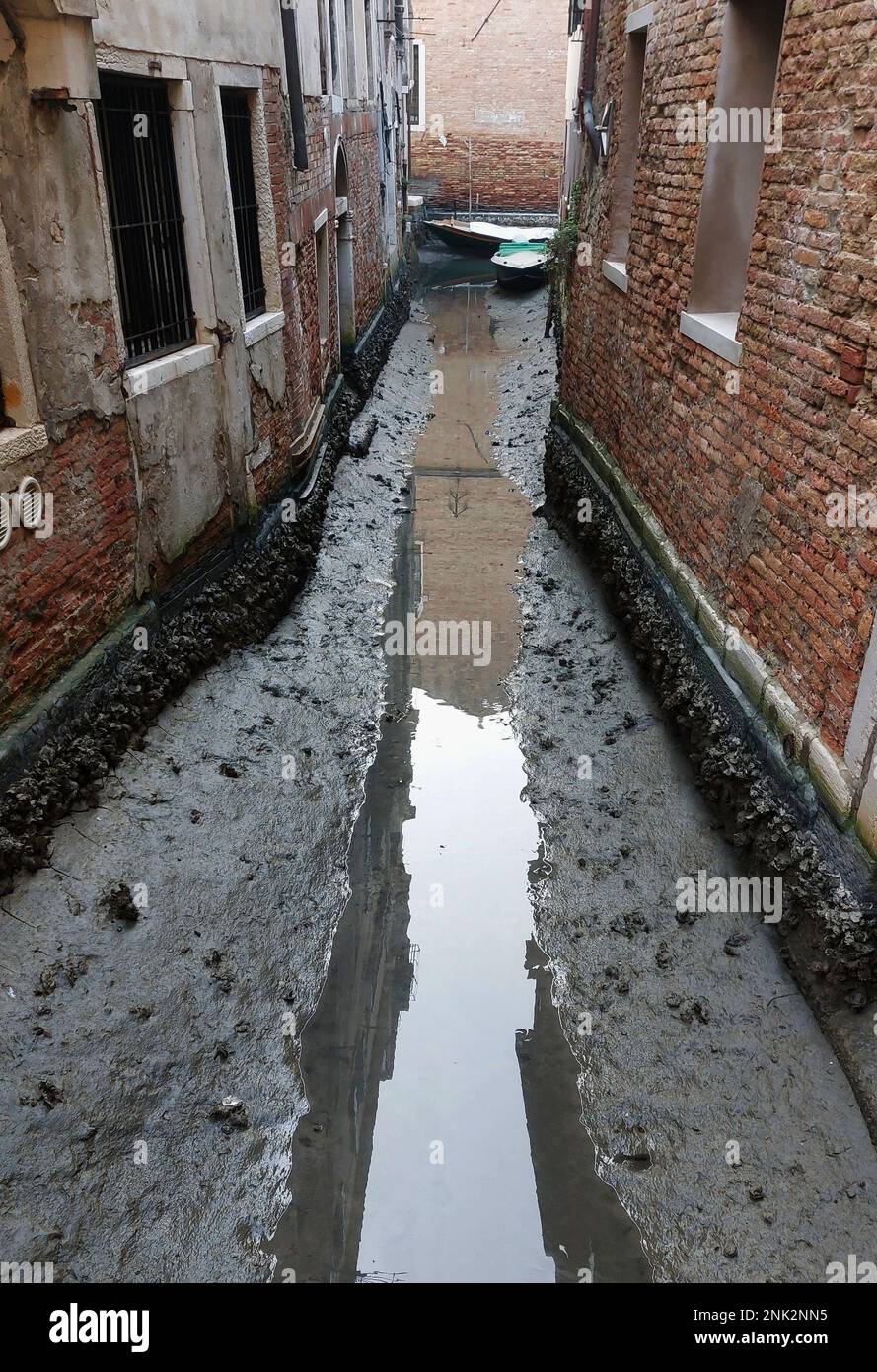 The Low Tide Today In Venice Has Reached 62 Centimetres Above Mean Sea the-low-tide-today-in-venice-has-reached-62-centimetres-above-mean-sea
