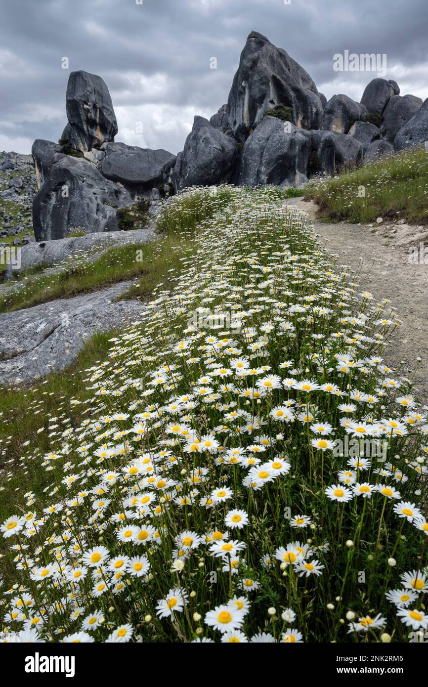 Castle Hill, (Kura Tawhiti Conservation Area), South Island, New Zealand Stock Photo