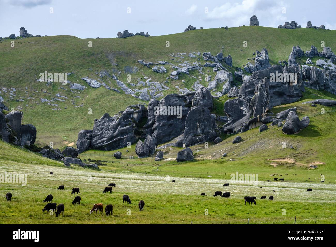 Castle Hill, (Kura Tawhiti Conservation Area), South Island, New Zealand Stock Photo