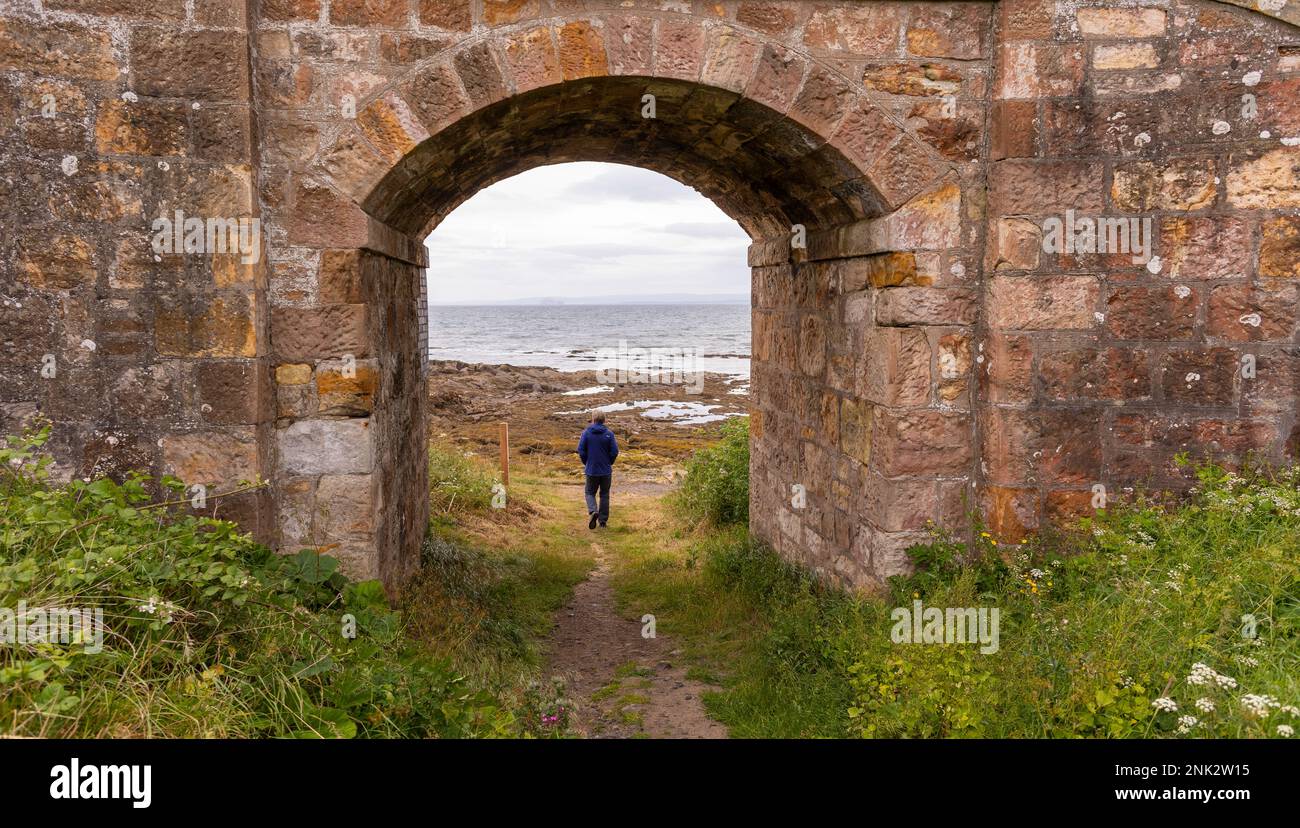 SCOTLAND, EUROPE - Man hikes on Fife Coastal Path, near Pittenweem. Stock Photo