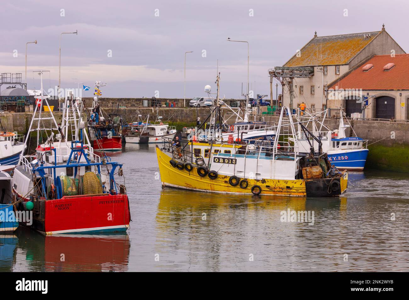 PITTENWEEM HARBOUR, SCOTLAND, EUROPE Commercial fishing boats