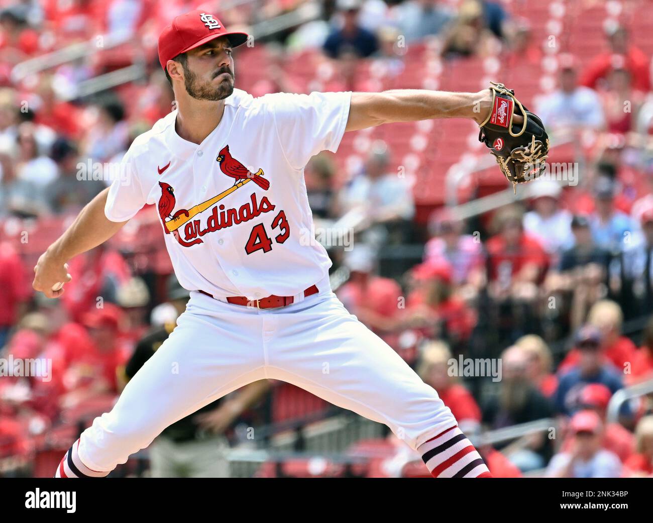 ST. LOUIS, MO - JUNE 01: San Diego Padres shortstop Ha-Seong Kim (7) as  seen during a MLB game between the San Diego Padres and the St. Louis  Cardinals on June 01