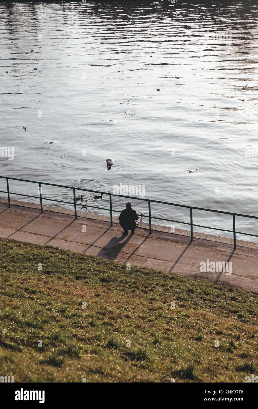 Person feeding birds river hi res stock photography and images Alamy Person feeding birds river hi res stock photography and images Alamy