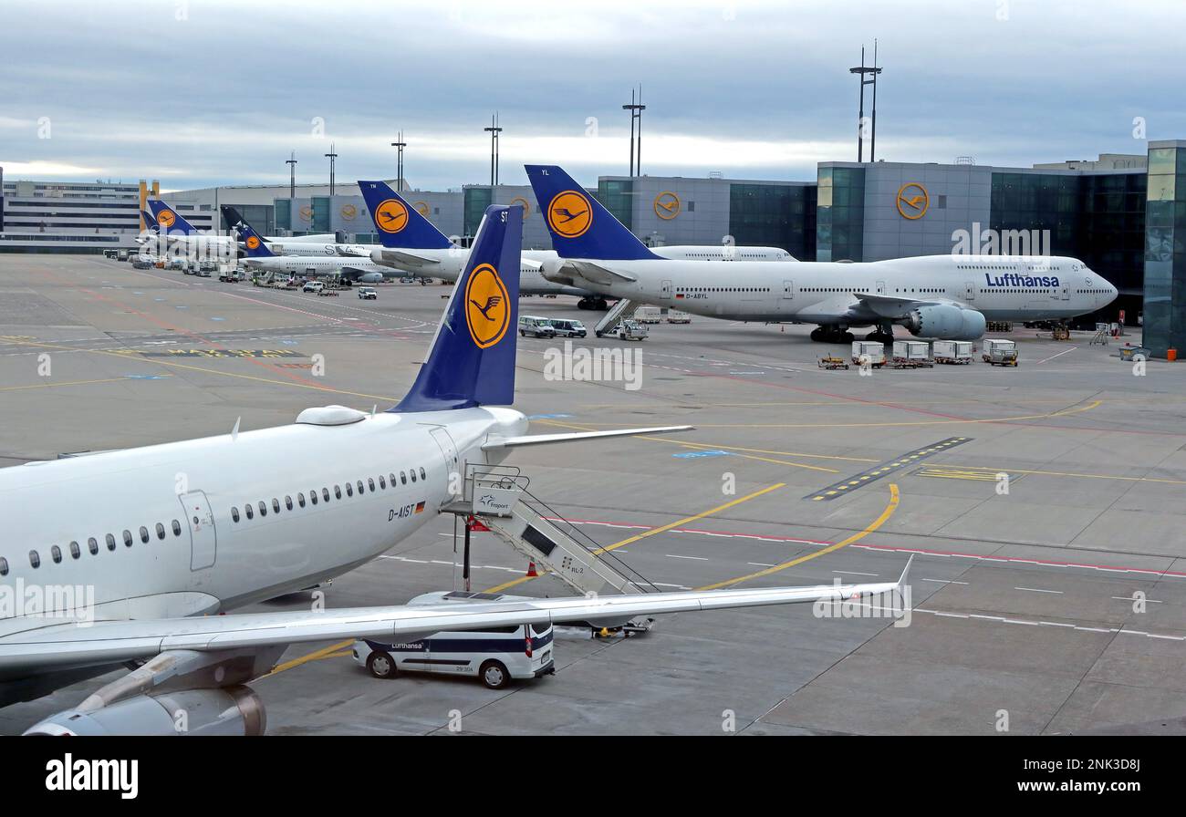 Lufthansa aircraft at Frankfurt airport , Hesse, Germany Stock Photo