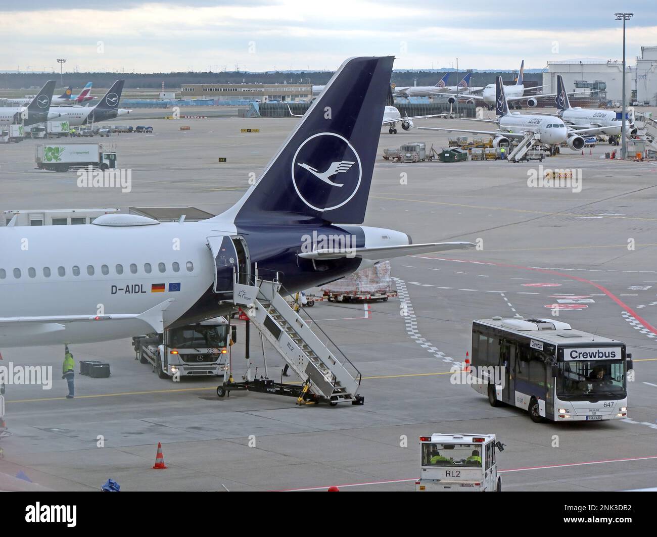 AIRBUS A321 - MSN 4881 - D-AIDL - Lufthansa aircraft at Frankfurt airport , Hesse, Germany Stock Photo