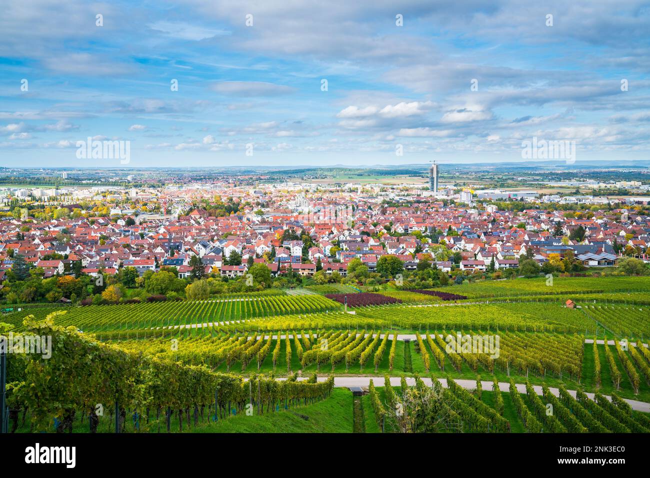 Germany, Fellbach city skyline vineyard panorama view autumn season above roofs houses tower at sunset time Stock Photo