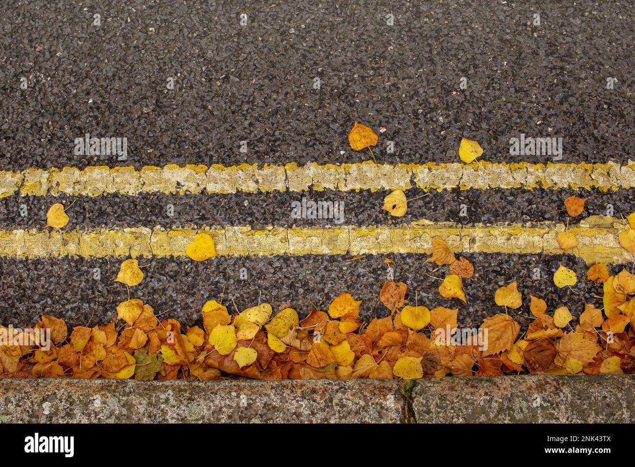 looking down on colourful autum leaves scattered at the kerbside over double yellow lines. Suitable as background with space for text Stock Photo