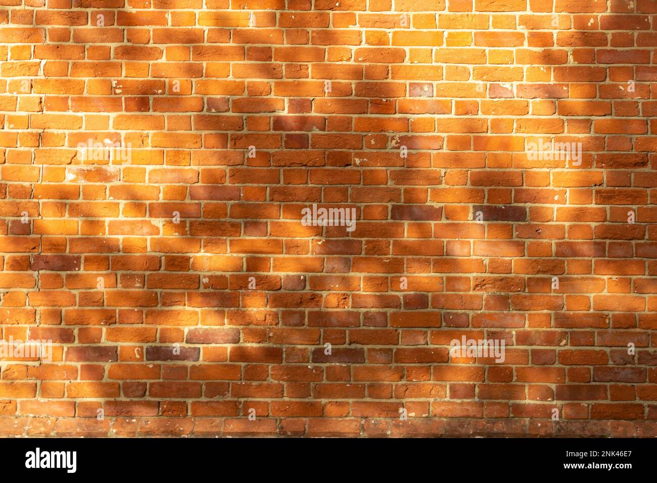 A horizontal image of a red brick wall in sunshine with the shadows of trees in full leaf falling on it, suggesting summer. Background image for text. Stock Photo