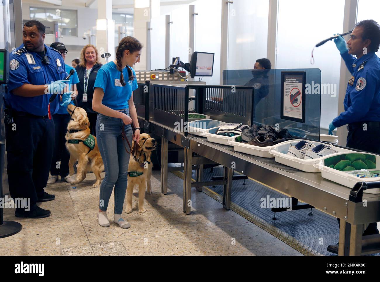 Guide dogs in training proceed through a security checkpoint at Oakland International Airport in
