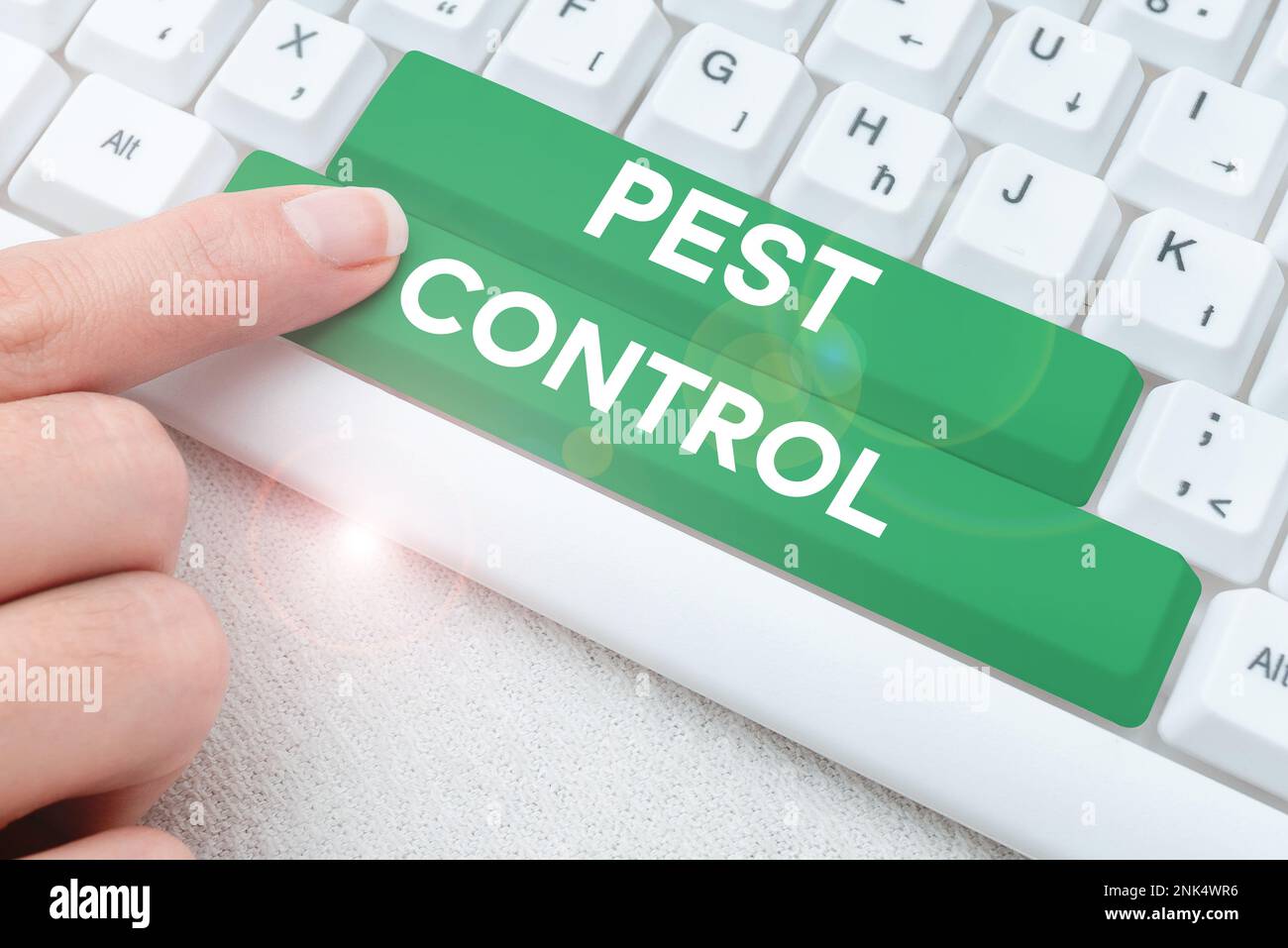 Internet Insects Conceptual caption Pest Control. Internet Concept Killing destructive ...