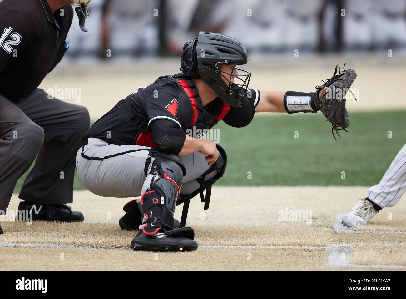 Louisville baseball 2023: Catcher Jack Payton's career with Cardinals