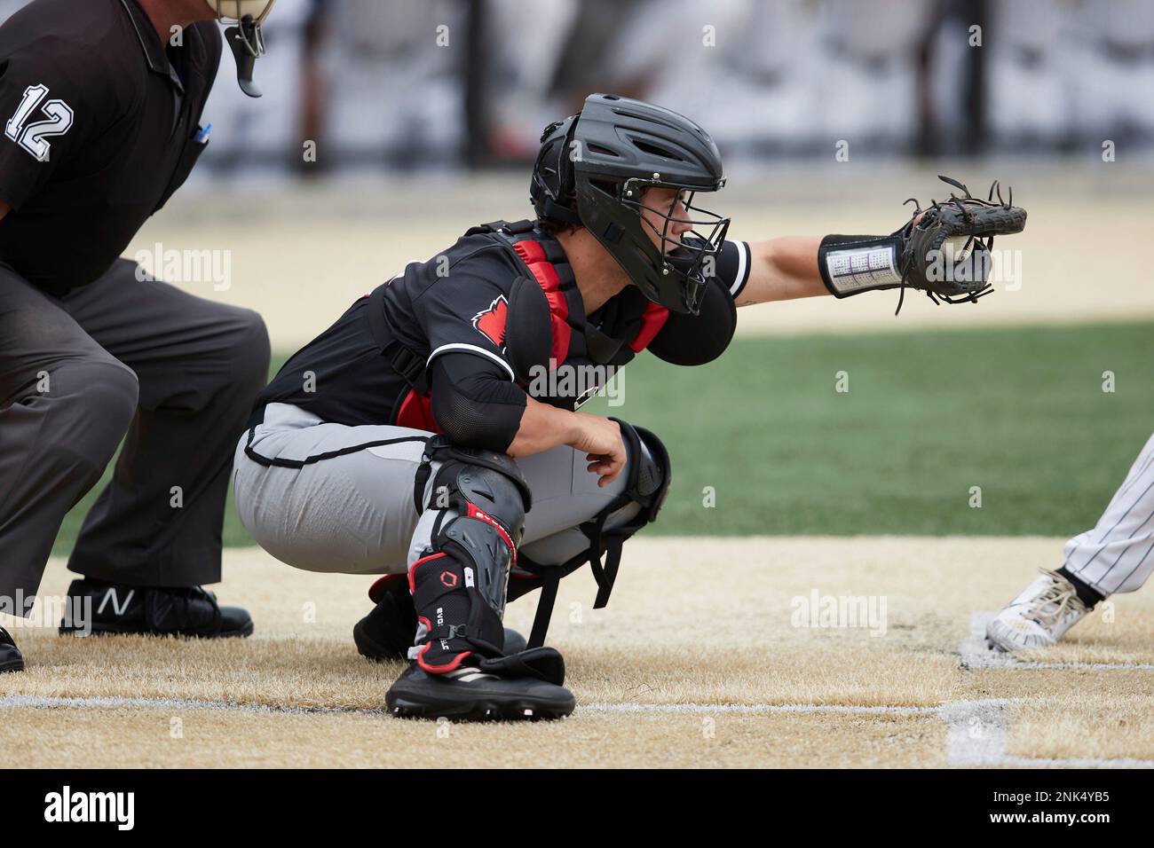 Louisville Cardinals catcher Jack Payton (33) on defense against the Wake Forest Demon Deacons