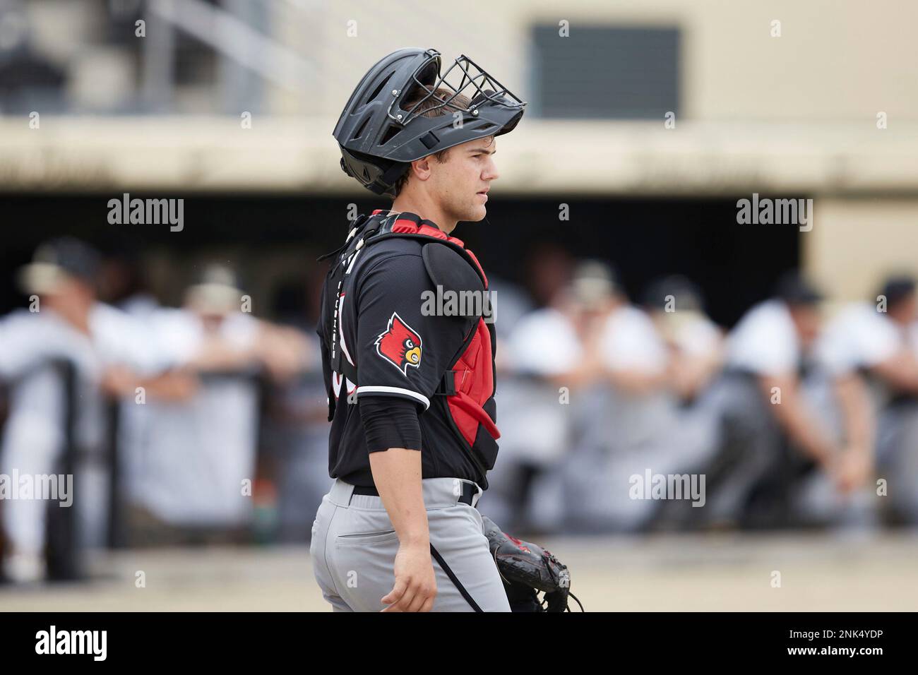 Louisville Cardinals catcher Jack Payton (33) on defense against the Wake Forest Demon Deacons