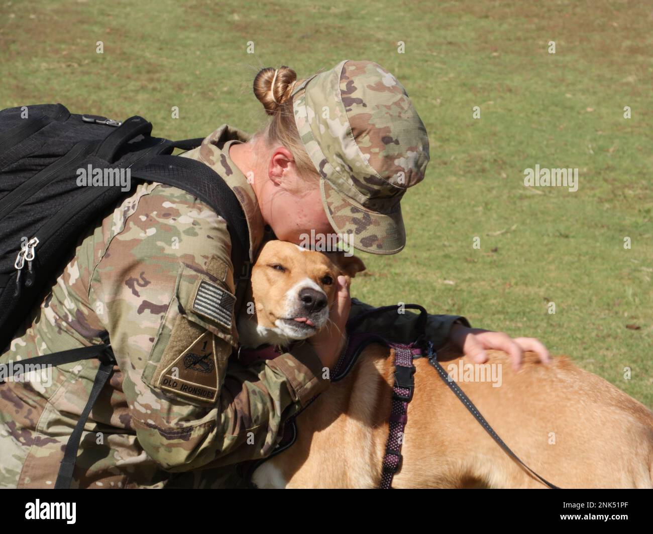 1st armored division sustainment brigade hi-res stock photography and ...