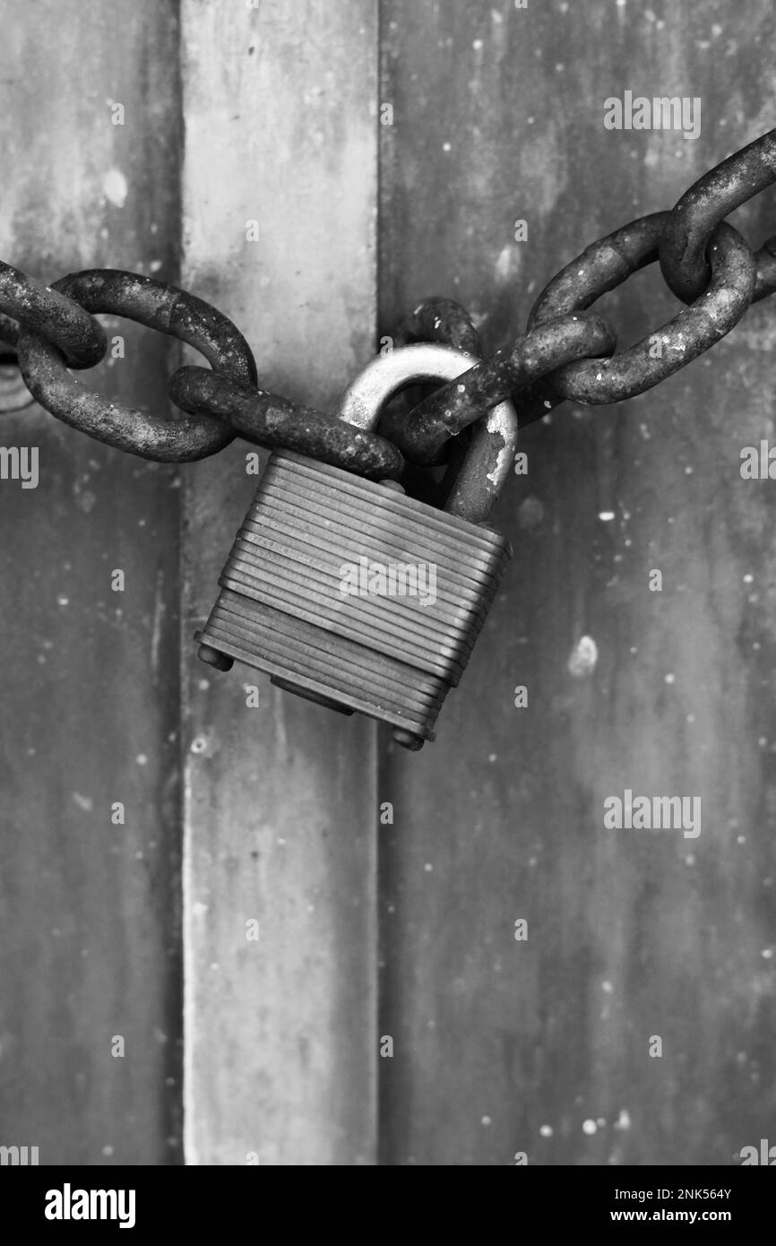 Vintage traditional metal padlock keeping a gate closed in a black and