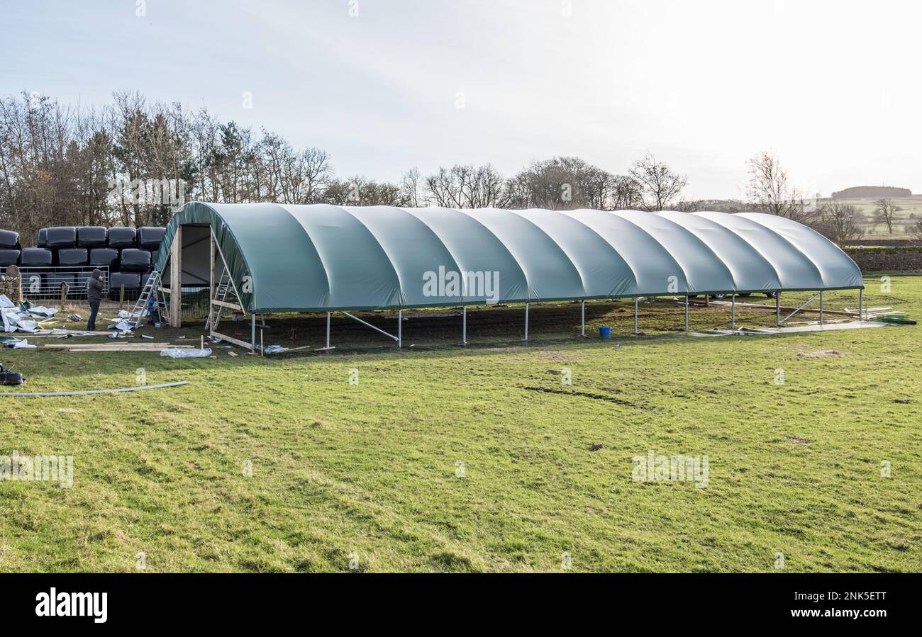 Installation Of A Single Span Livestock Polytunnel At Back Lane Long