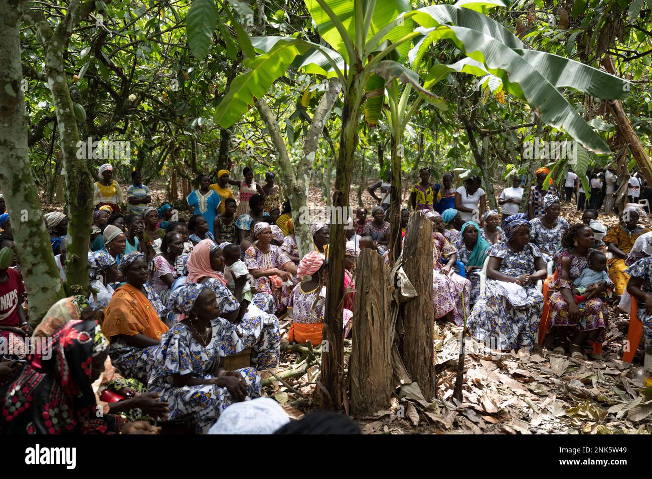 Agboville, Ivory Coast. 23rd Feb, 2023. Harvest workers sit on a cocoa plantation. Federal Minister of Labor Heil and Federal Minister for Economic Cooperation and Development Schulze visit Ghana and Côte d'Ivoire. Credit: Christophe Gateau/dpa/Alamy Live News Stock Photo