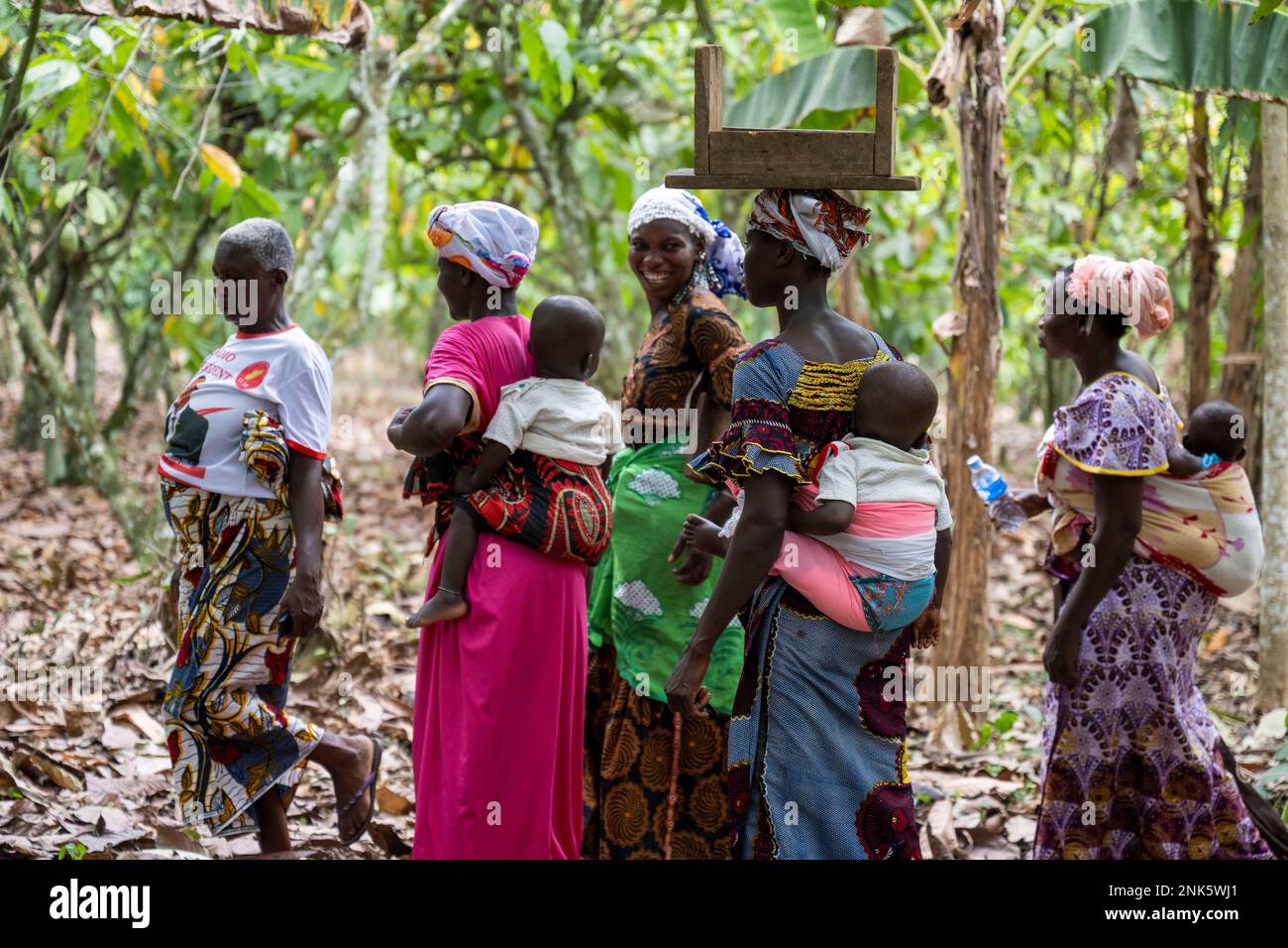 Agboville, Ivory Coast. 23rd Feb, 2023. Harvest workers with their children walk on a cocoa plantation. Federal Minister of Labor Heil and Federal Minister for Economic Cooperation and Development Schulze visit Ghana and the Ivory Coast. Credit: Christophe Gateau/dpa/Alamy Live News Stock Photo