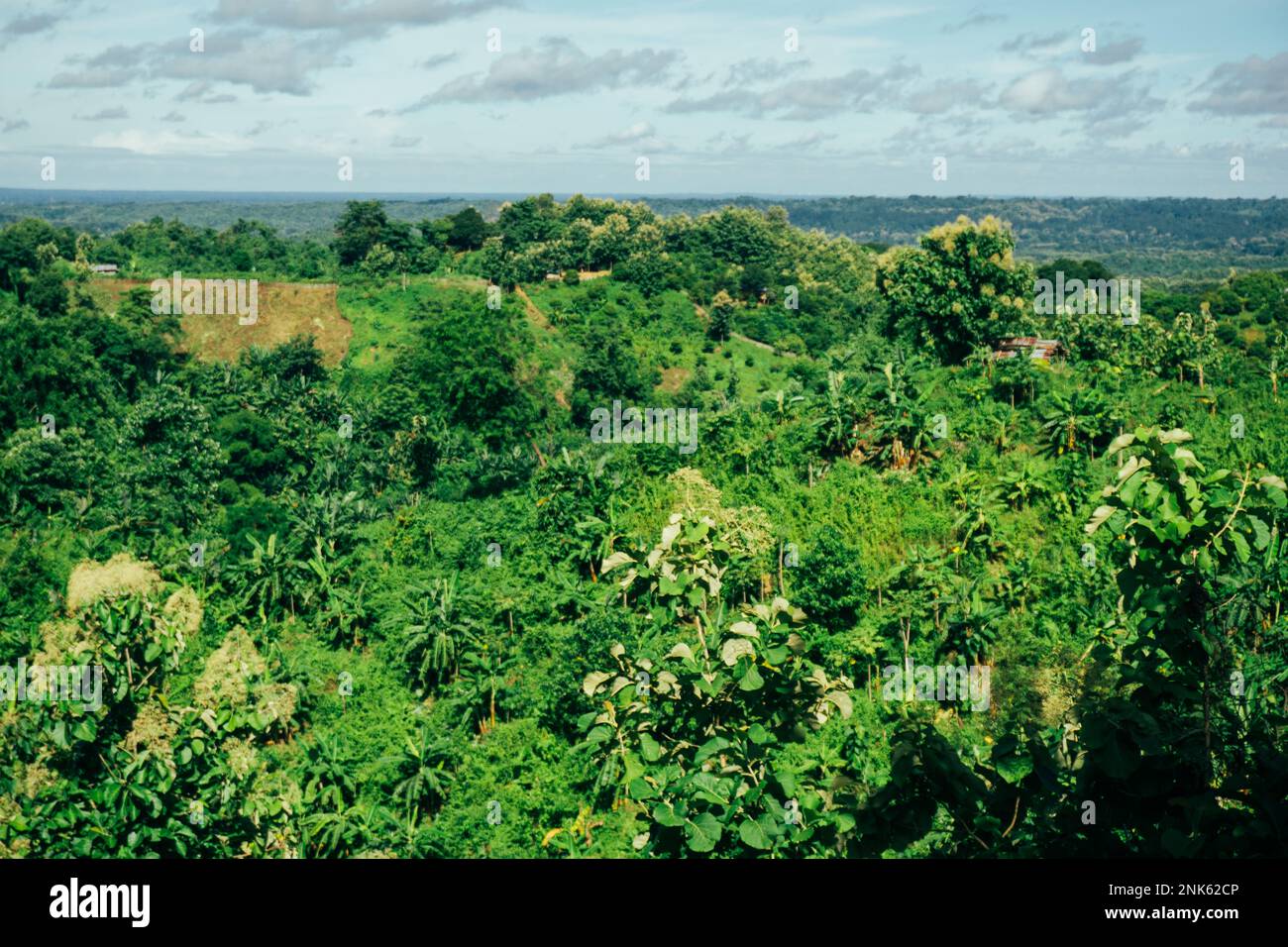 Bandarban is a mountainous region of Bangladesh. Rows of mountains. The green hills are lined up. Stock Photo