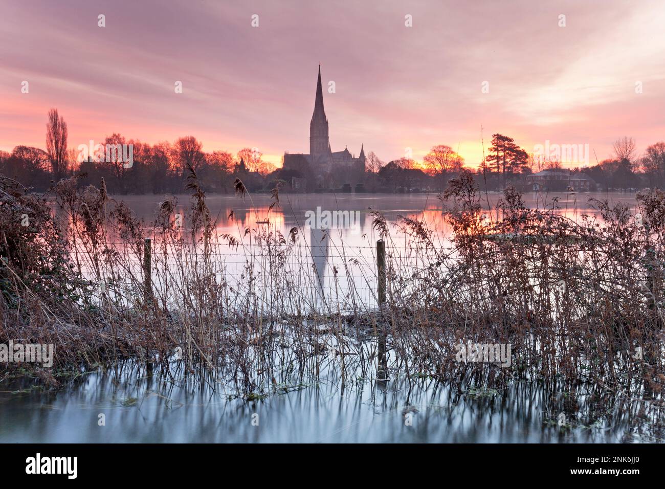 Flooded water meadows at sunrise beside Salisbury Cathedral. Stock Photo