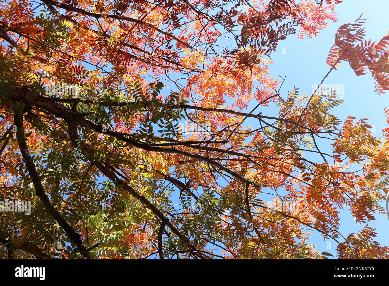 Lake naconiche hires stock photography and images Alamy