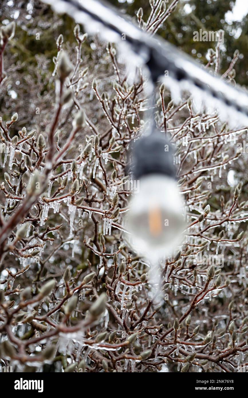 Power lines suffer a heavy coating of ice in Bloomfield Hills MI USA Stock Photo