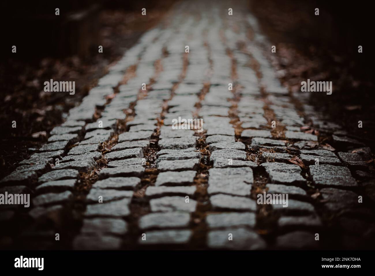 Granite old path on an autumn night. Loneliness. There is no one on the ...