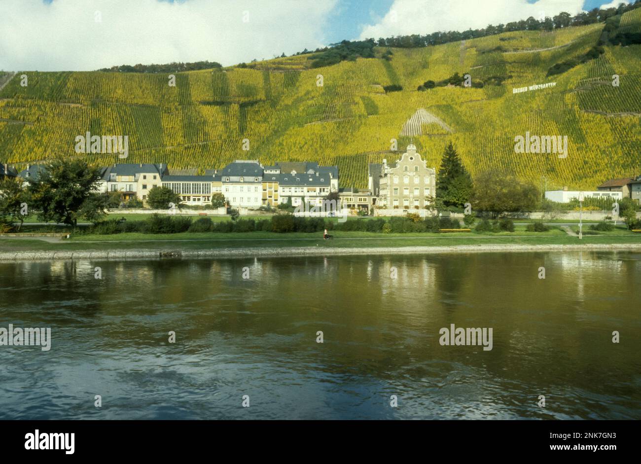 1984 archive image of the Ürziger Würzgarten vineyard around the town of Ürzig on the Moselle, Germany. Stock Photo