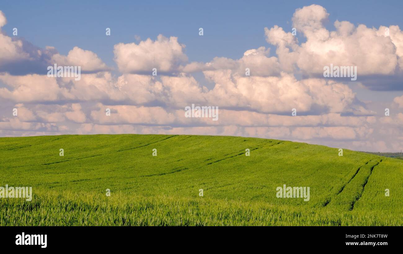 Rain clouds over an agricultural field Stock Photo