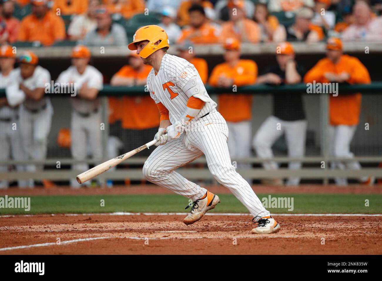 Evan Russell: Tennessee baseball catcher in photos