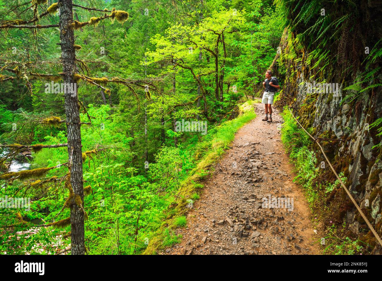 Oregon Ravines Hiker on the Eagle Creek Trail, Columbia River Gorge National Scenic ...