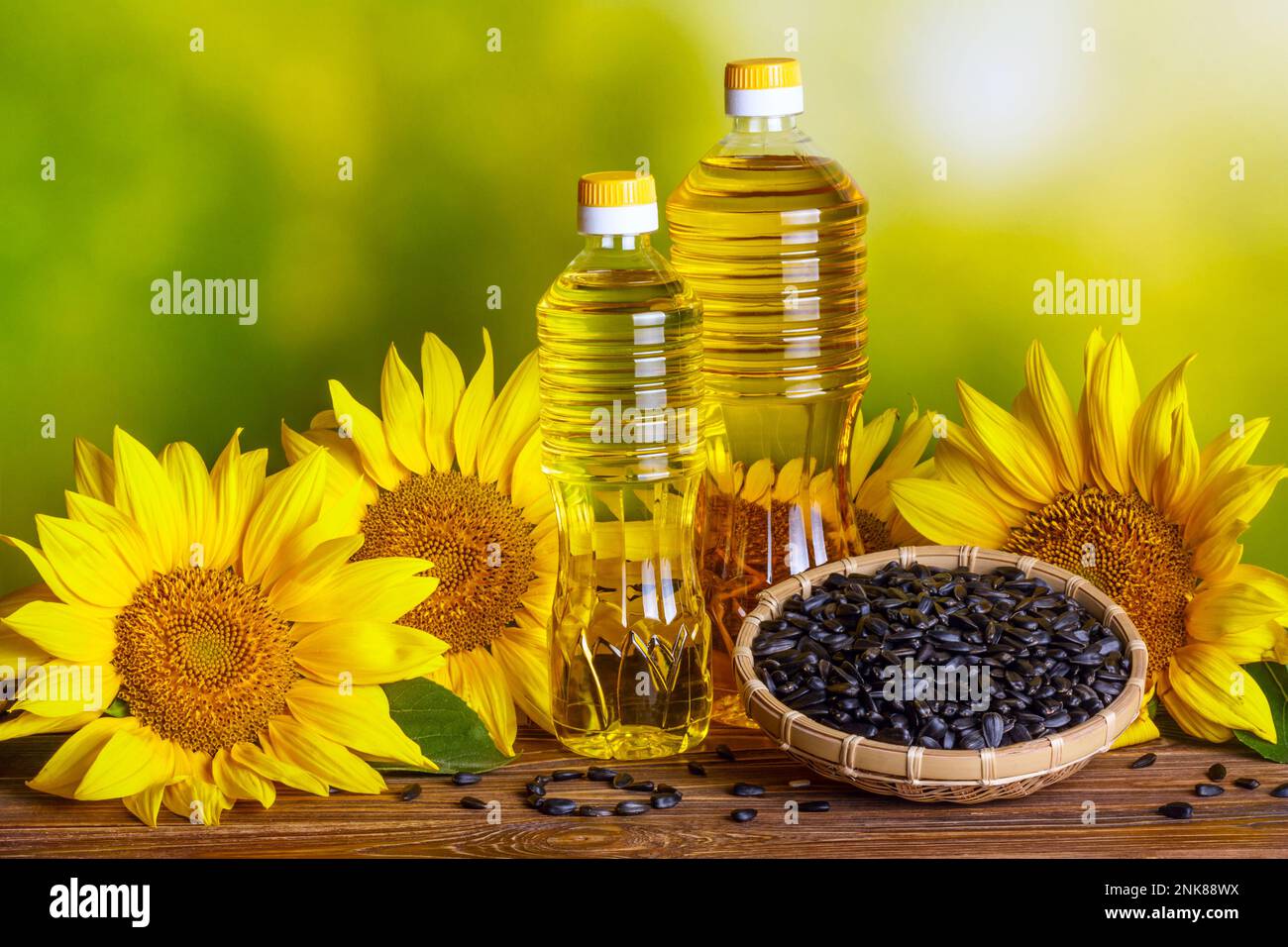Rural stilllife sunflower oil in bottles with flowers of sunflower