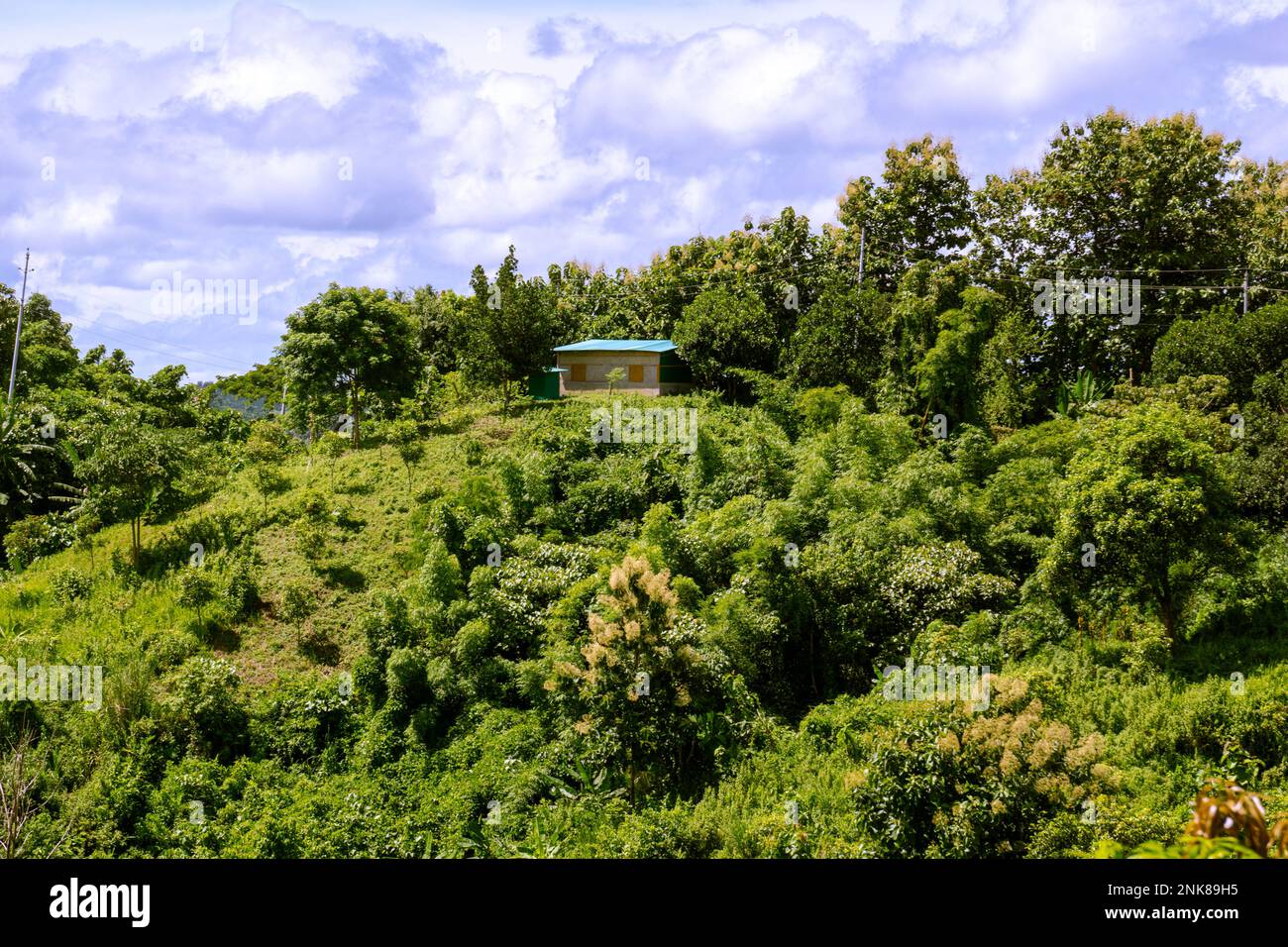 The Jhum house is a temporary housing for living. This photo was taken from Meghla, Bandarban,Chittagong, Bangladesh. Stock Photo