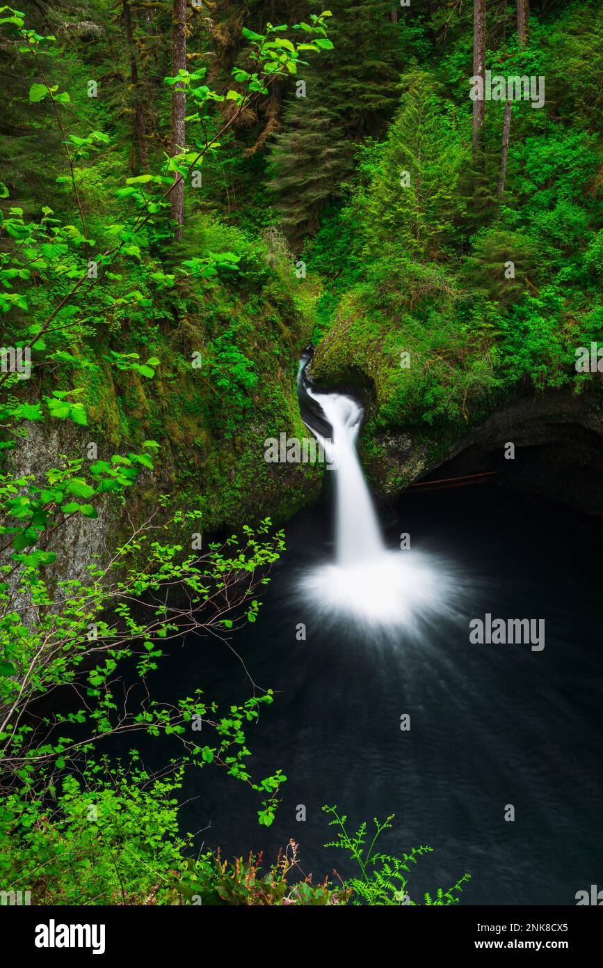 Punch Bowl Falls on Eagle Creek, Columbia River National Scenic