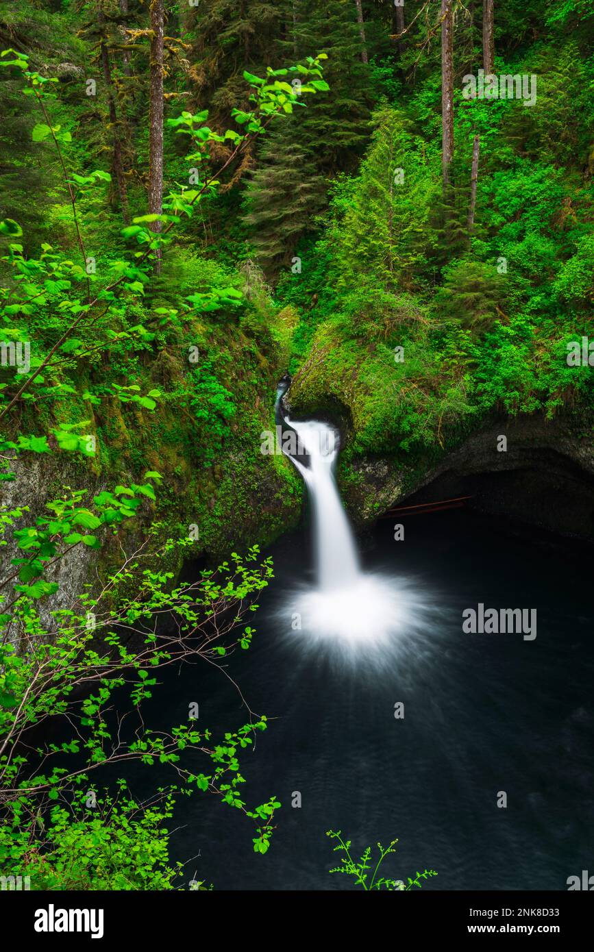 Punch Bowl Falls on Eagle Creek, Columbia River National Scenic