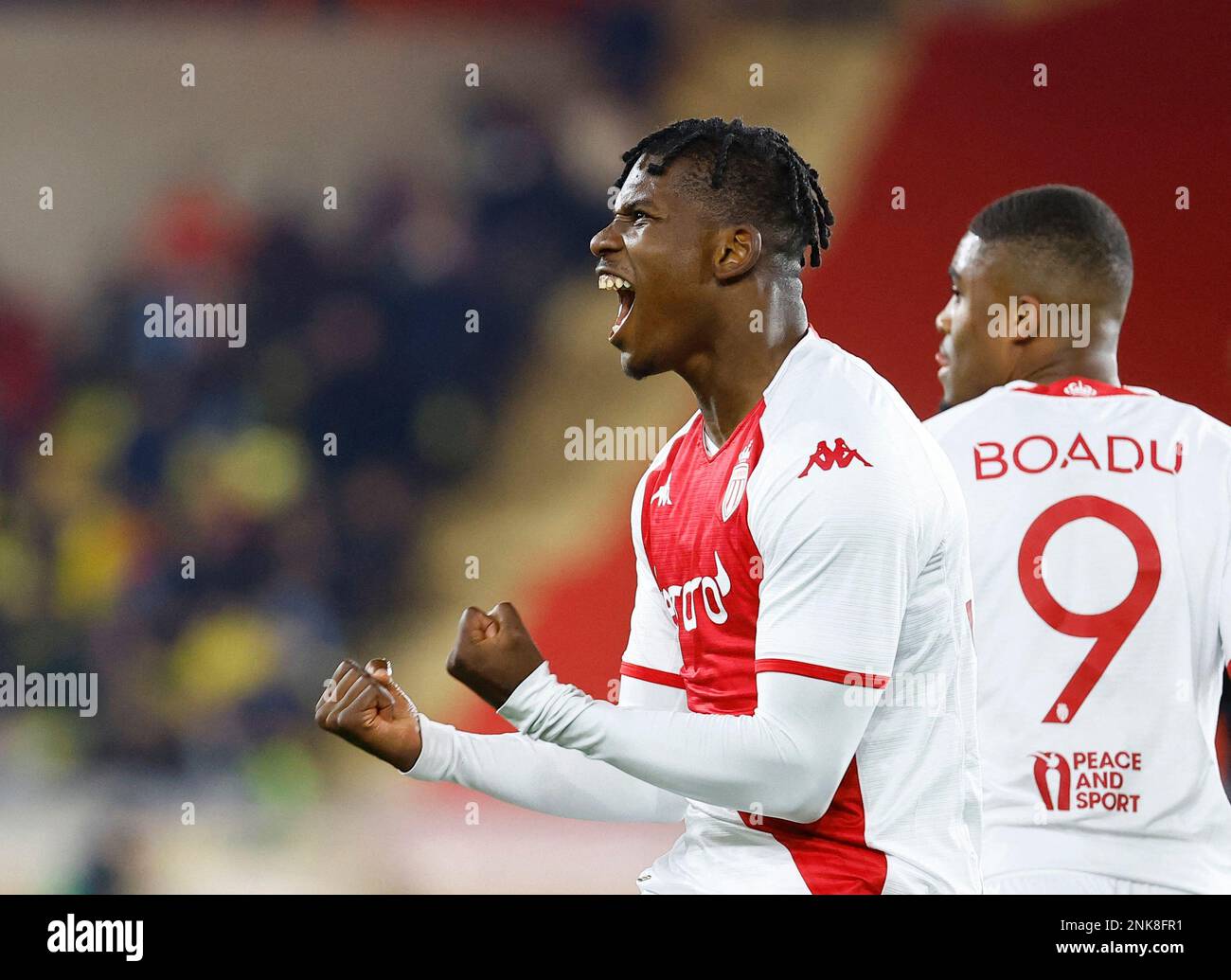 Come monaco v bayer leverkusen hires stock photography and images Alamy