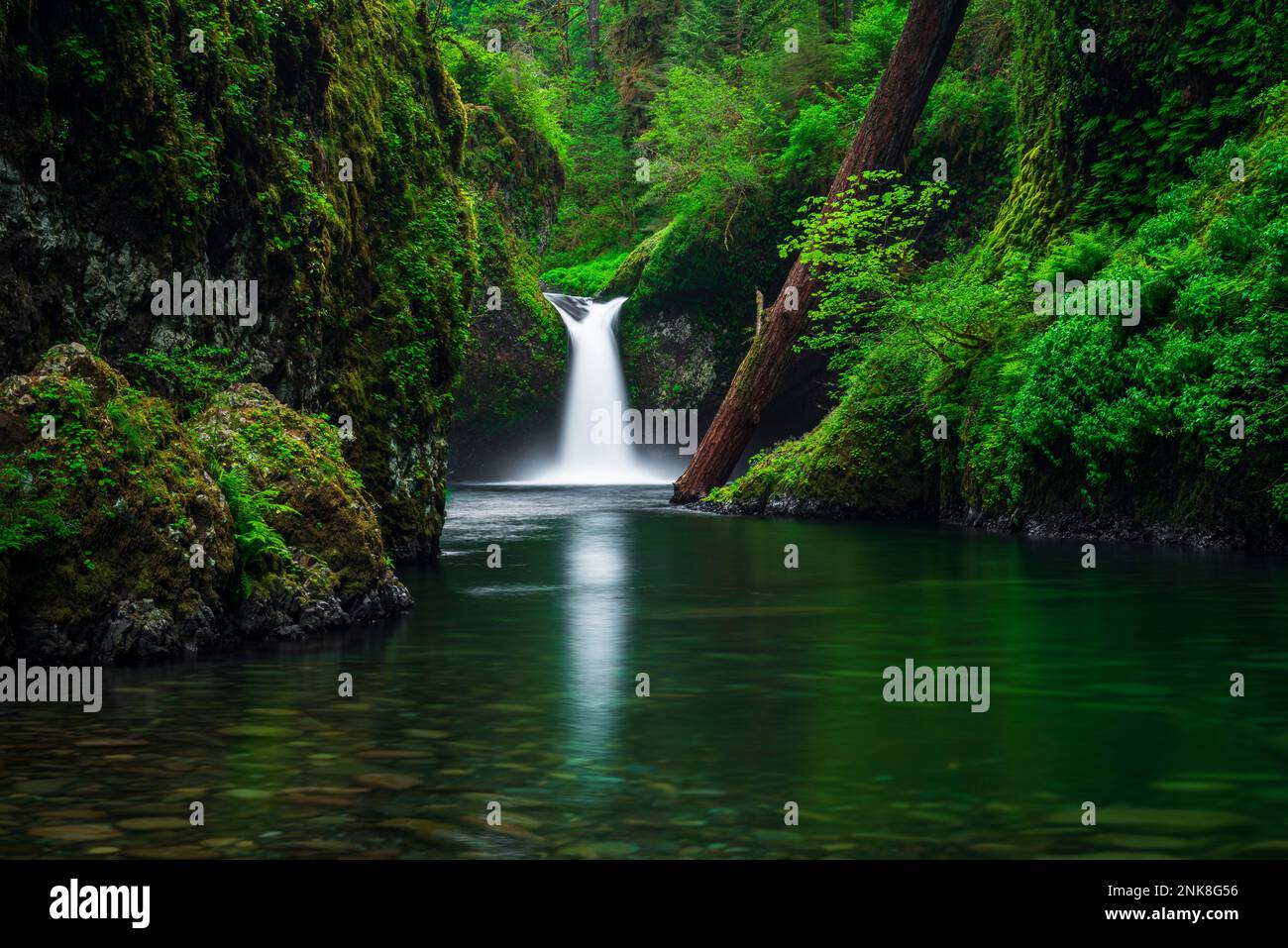 Punch Bowl Falls on Eagle Creek, Columbia River National Scenic