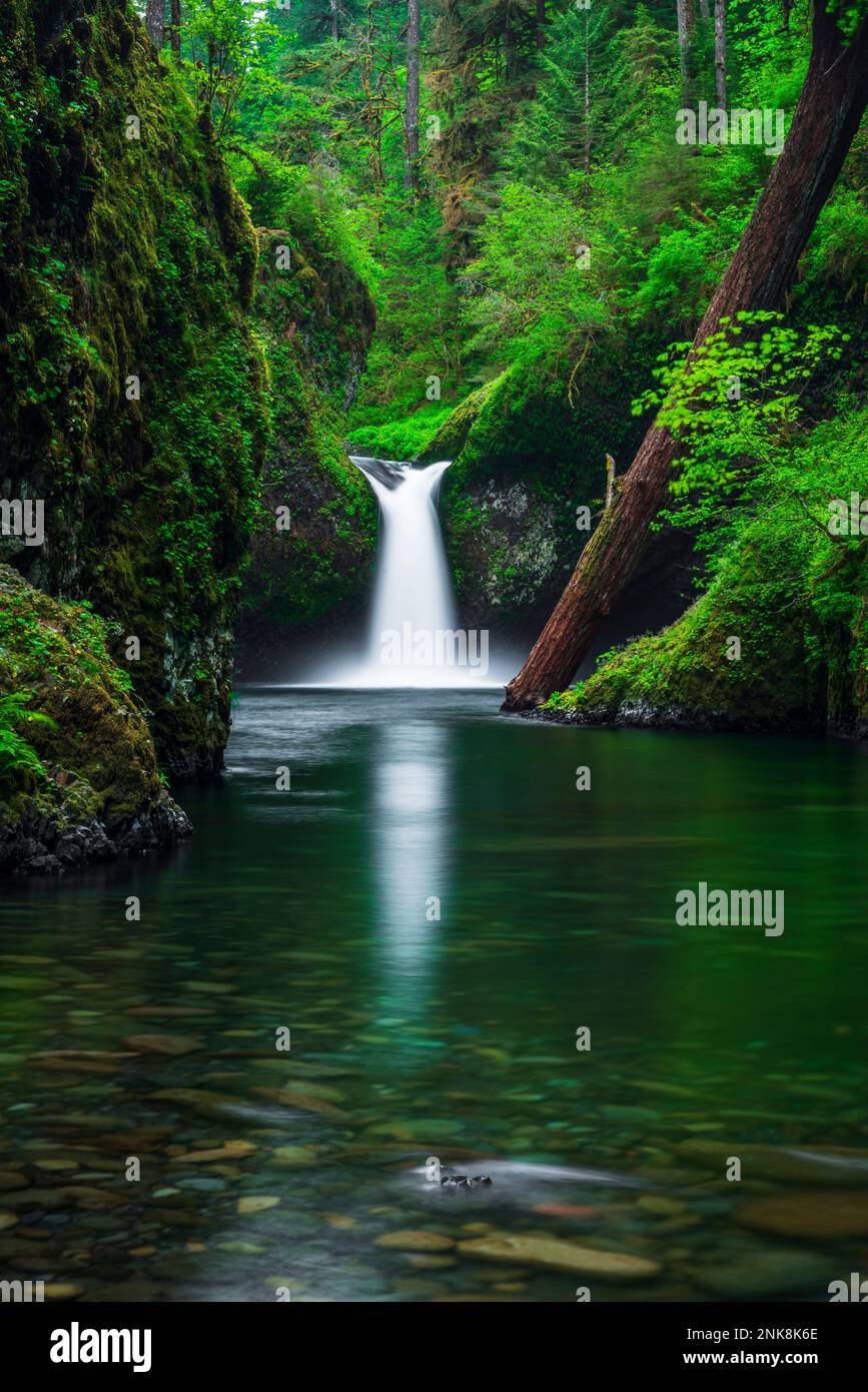 Punch Bowl Falls on Eagle Creek, Columbia River National Scenic