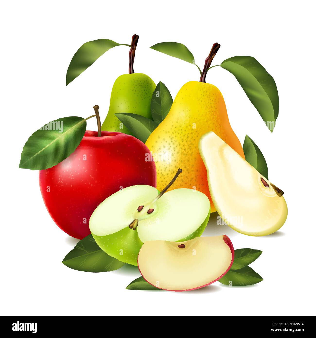 Apple varieties Stock Vector Images Alamy