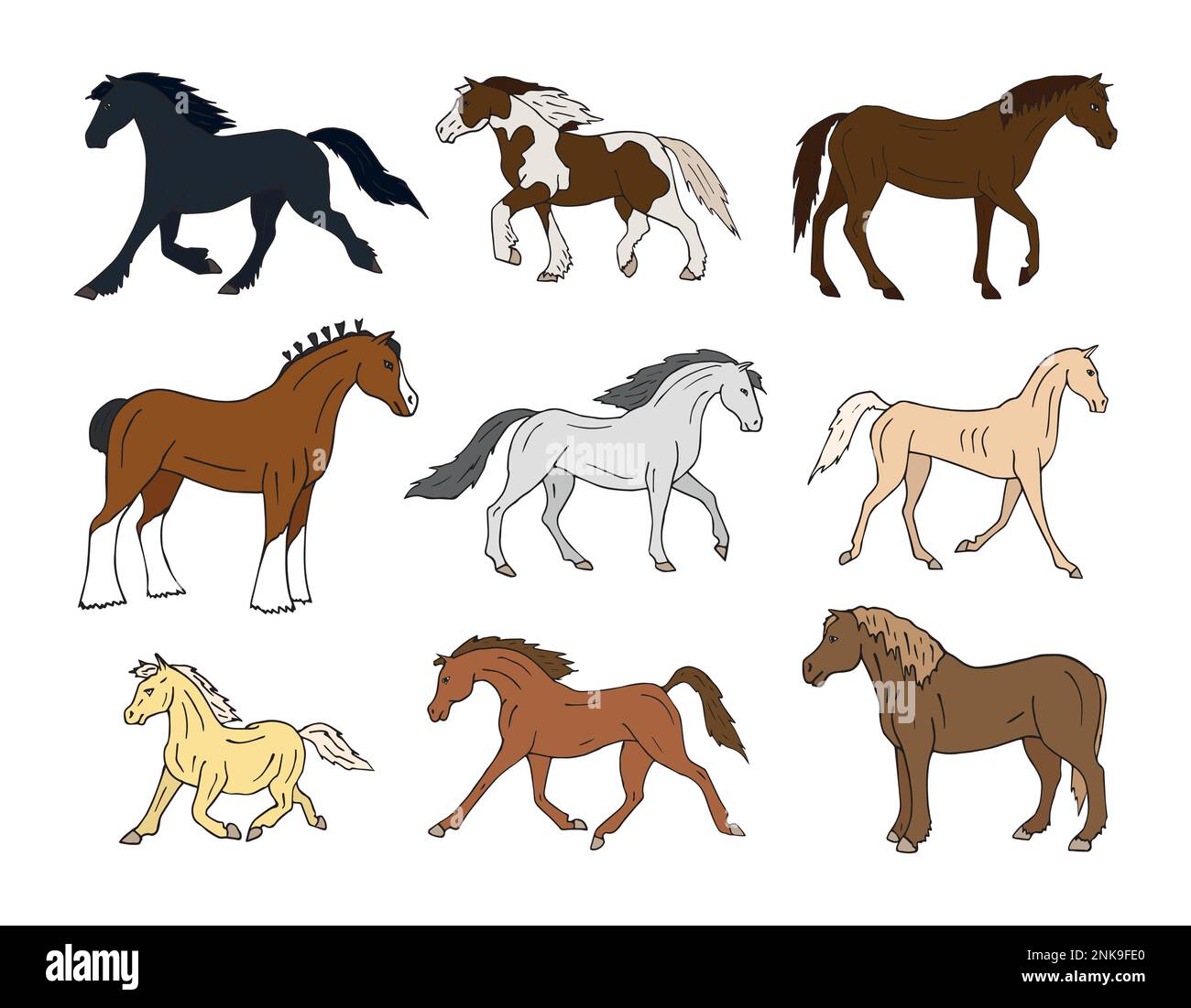 Vector set of hand drawn doodle sketch colored horse breeds isolated on white background Stock Vector