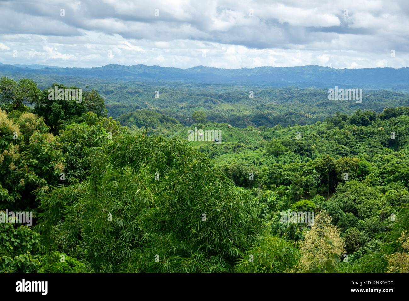 Green trees on top of the hill in Bandarban, Bangladesh. Sky, horizon, mountain forest in mountain day stock photo. Mountain landscape with trees on t Stock Photo